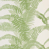 FERNS WALLPAPER - SAGE