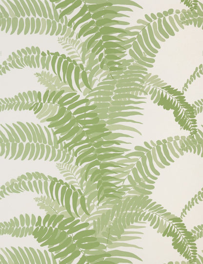 FERNS WALLPAPER