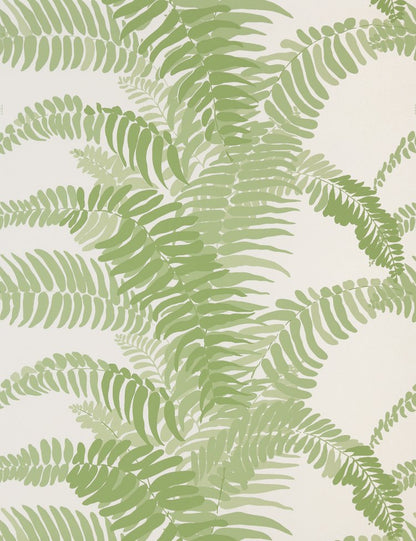 FERNS WALLPAPER SAMPLE