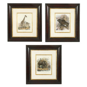 SET OF THREE ANIMAL PRINTS IN MAHOGANY FRAMES