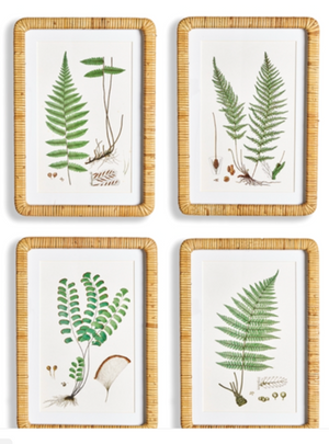 FOREST FERMART PRINTS RATTAN FRAME