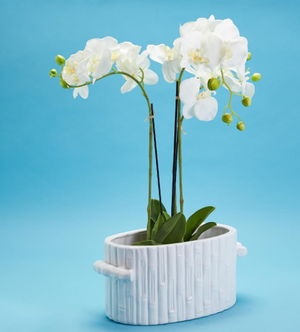 FAUX BAMBOO OVAL CENTERPIECE