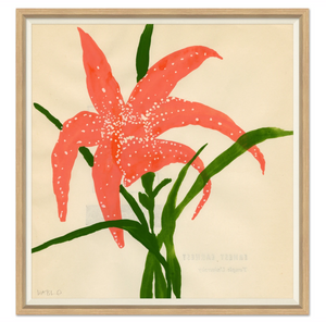 STAR LILY