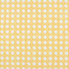 CANERY BEAU WALLPAPER - YELLOW & APRICOT