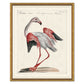 ODD BIRD SERIES IN GOLD FRAME